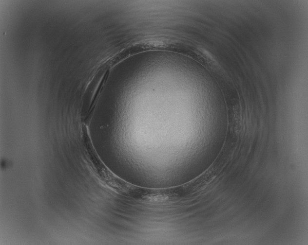 X0000067480500200604211637