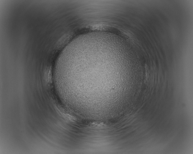 X0000067480502200604211637