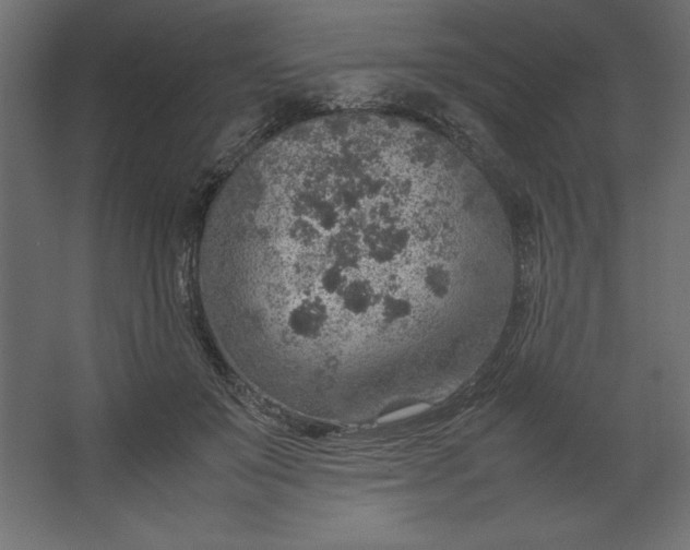 X0000067480503200604211637