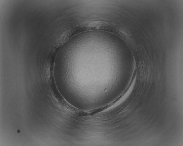 X0000067480504200604211636