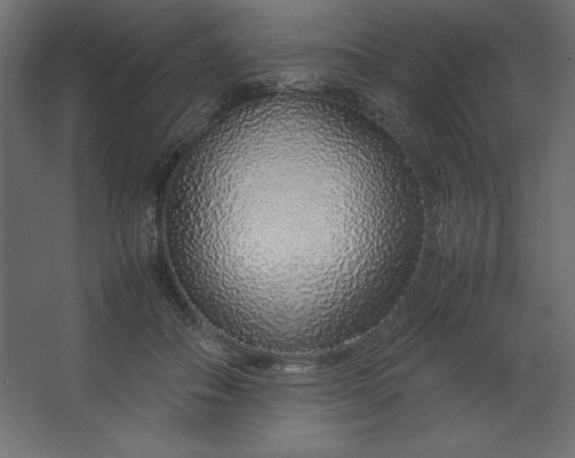 X0000067480506200604211636