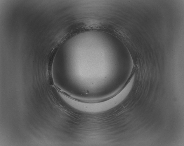 X0000067480508200604211636