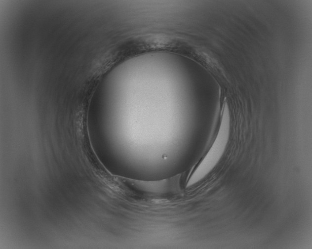 X0000067480509200604211636