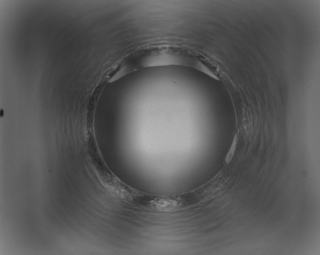 X0000067480512200604211636