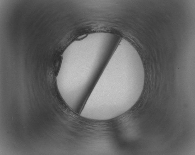 X0000067480513200604211636