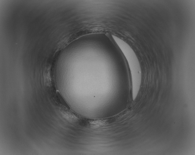 X0000067480516200604211636