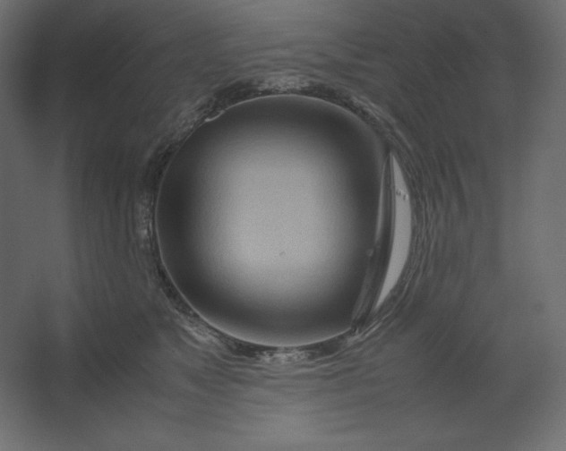 X0000067480517200604211636