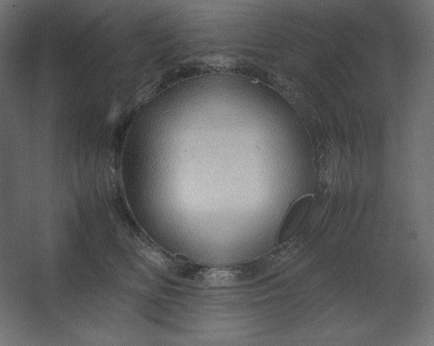 X0000067480518200604211636