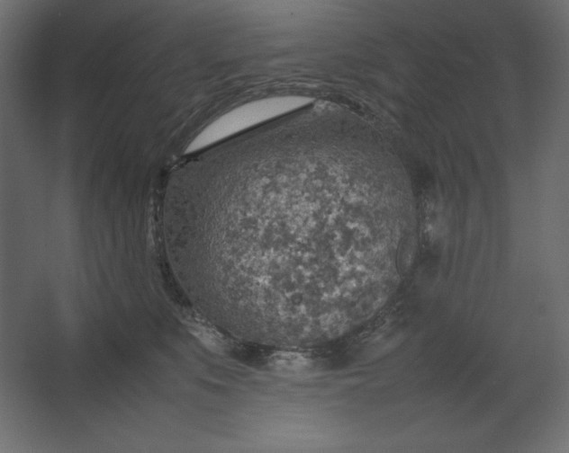 X0000067480519200604211636