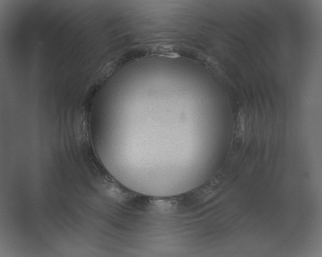 X0000067480522200604211636