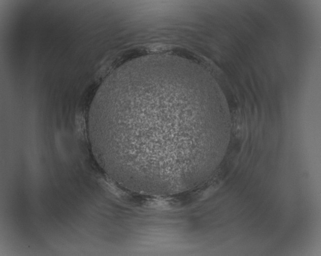 X0000067480523200604211636