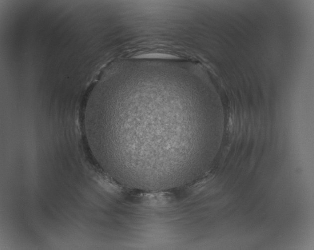 X0000067480524200604211636