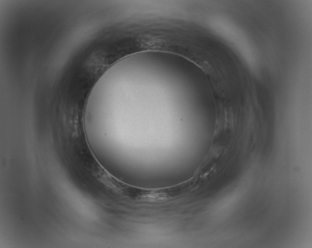 X0000067480525200604211636