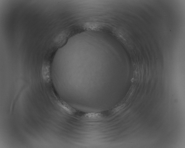 X0000067480526200604211636