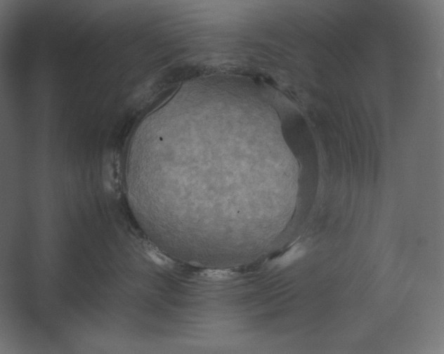 X0000067480528200604211636