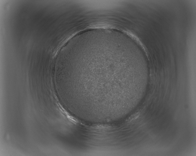 X0000067480529200604211635