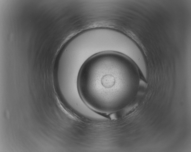 X0000067480530200604211635