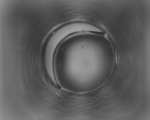 X0000067480531200604211635