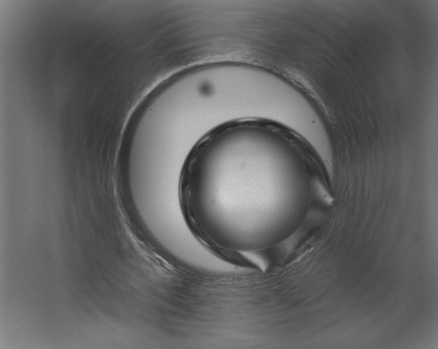 X0000067480532200604211635