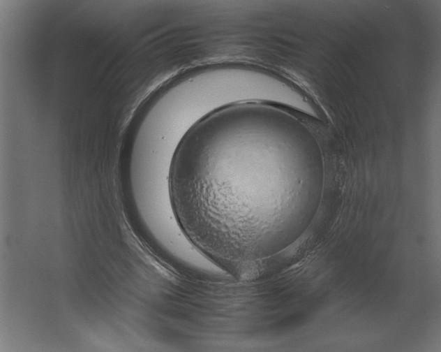 X0000067480535200604211635