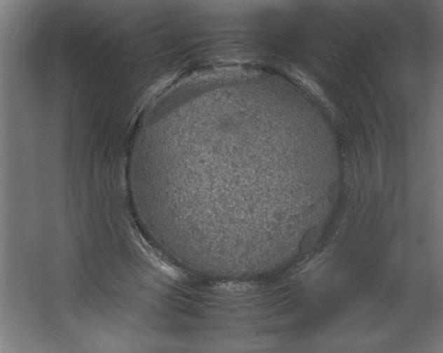 X0000067480537200604211635