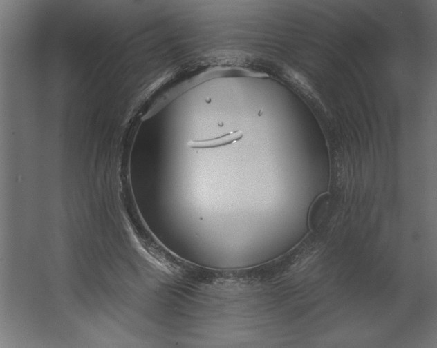 X0000067480538200604211635