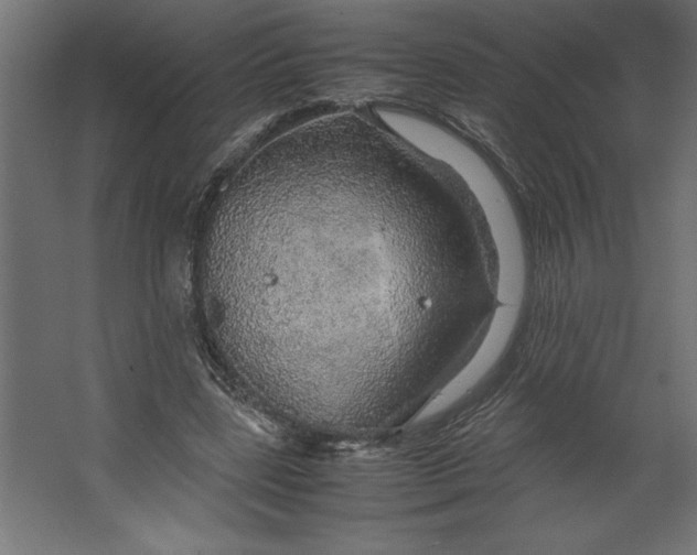 X0000067480539200604211635