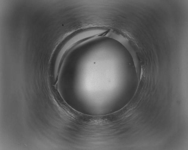 X0000067480540200604211635