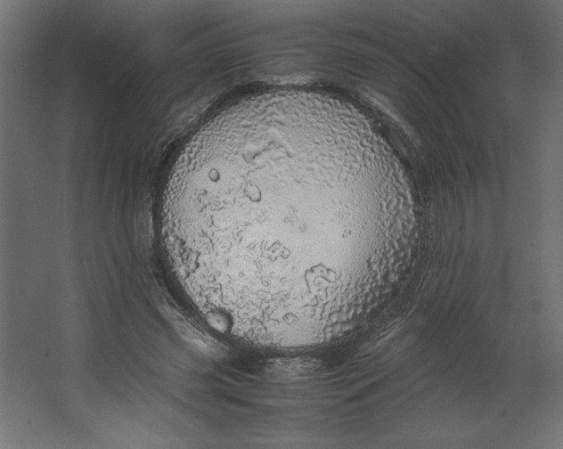 X0000067480541200604211635