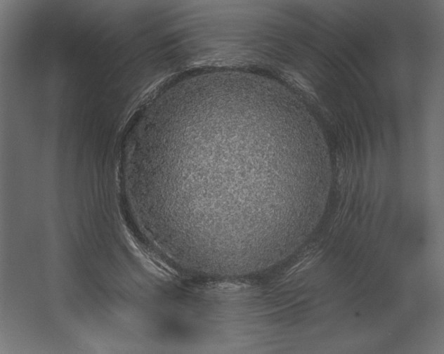 X0000067480542200604211635