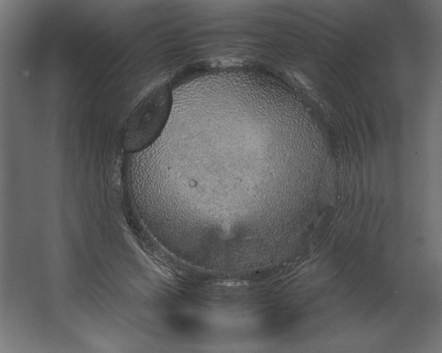 X0000067480543200604211636