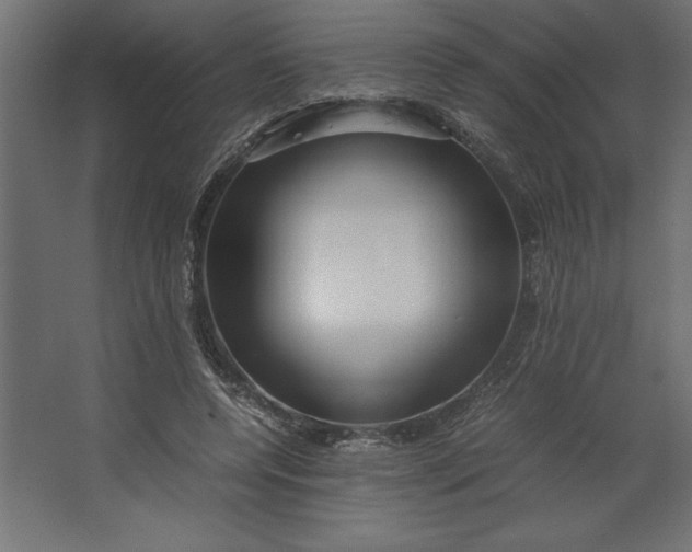 X0000067480544200604211636