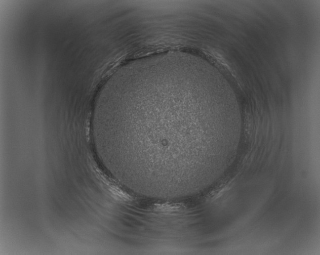 X0000067480545200604211636