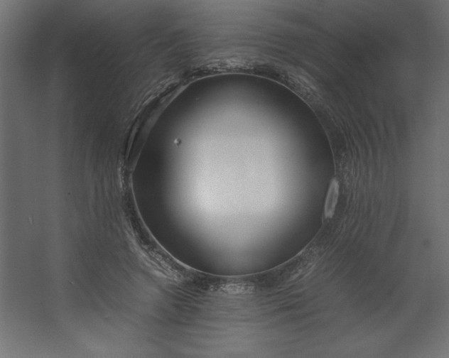 X0000067480546200604211636