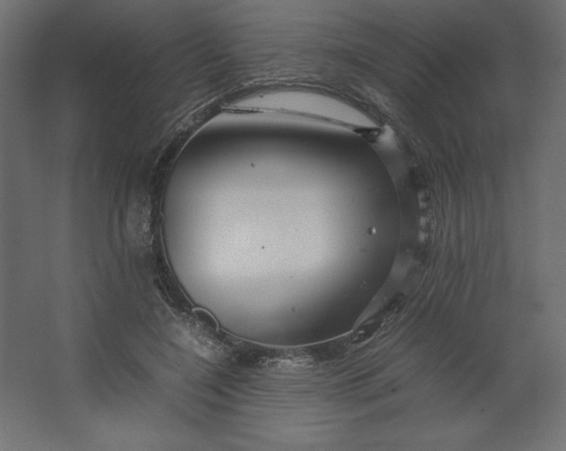 X0000067480548200604211636