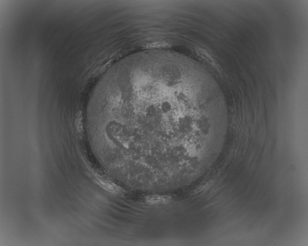 X0000067480549200604211636