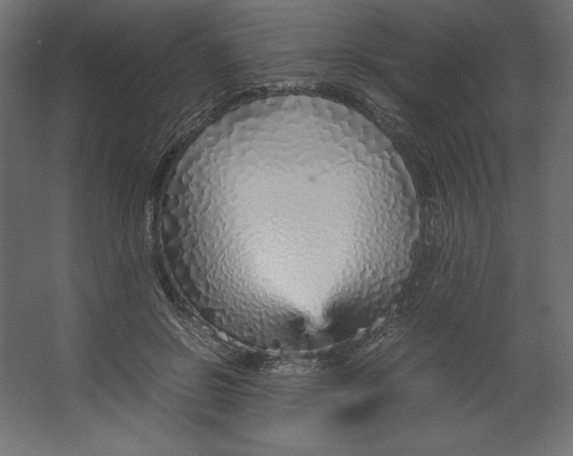 X0000067480550200604211636