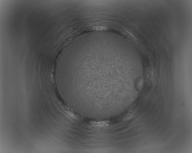 X0000067480553200604211636