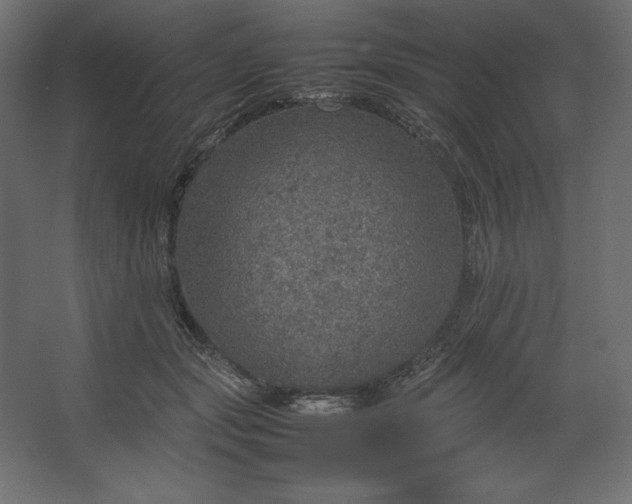 X0000067480557200604211636