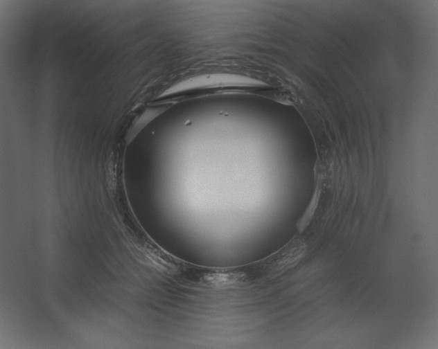 X0000067480558200604211636