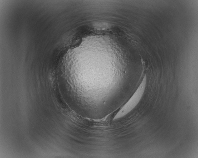 X0000067480559200604211636