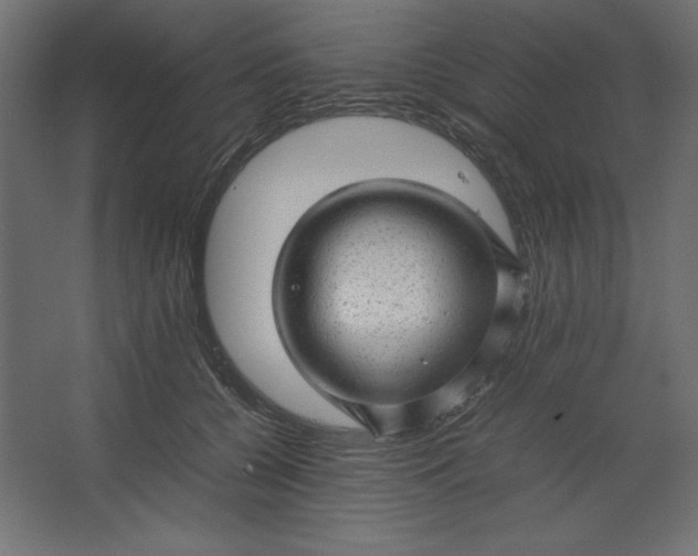 X0000067480560200604211636