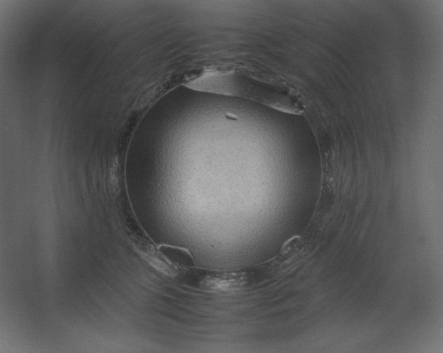 X0000067480563200604211636