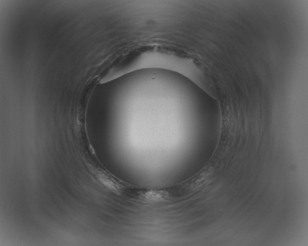 X0000067480566200604211636