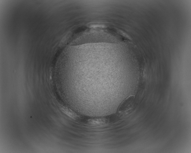 X0000067480567200604211636