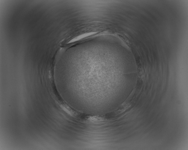 X0000067480568200604211636