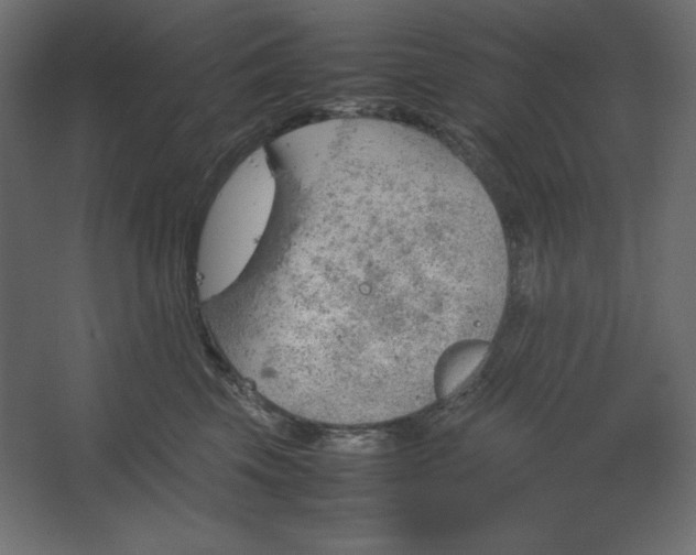 X0000067480569200604211636