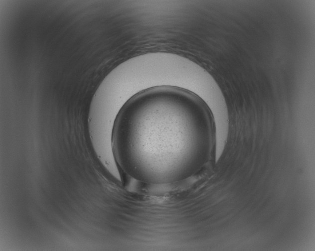 X0000067480570200604211636