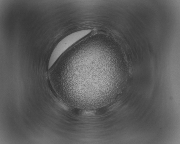 X0000067480573200604211636