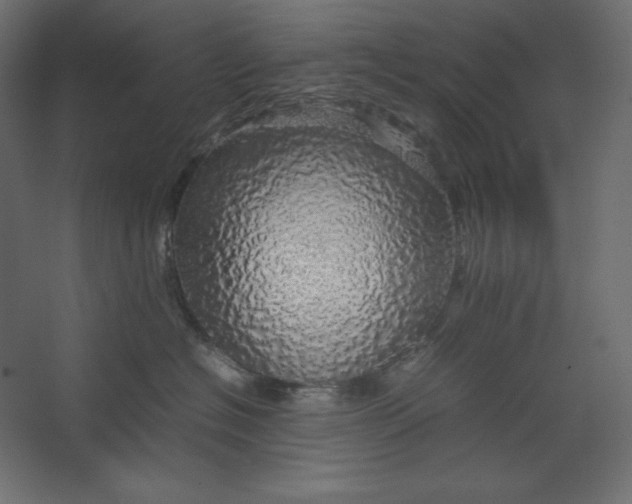 X0000067480574200604211636